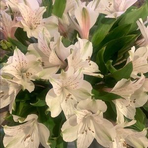 Meet your Posher, Marci